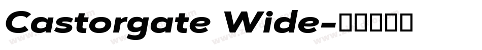 Castorgate Wide字体转换